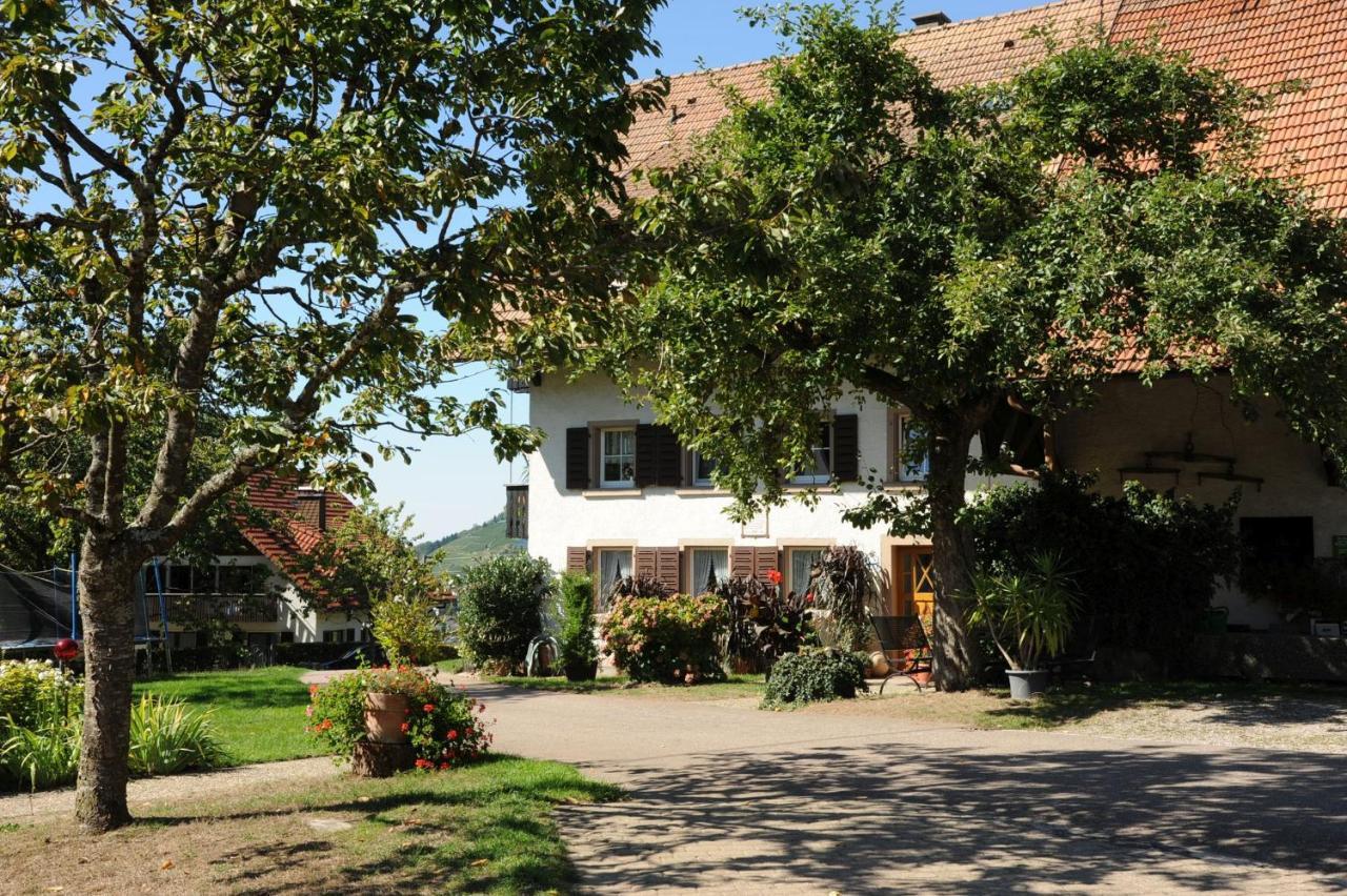 Gschwanderhof Apartment Glottertal Exterior photo